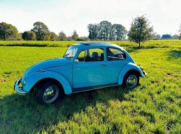 Gebrauchte VW Käfer